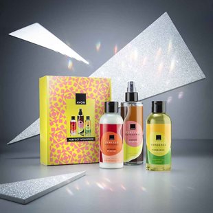 Ｙ.A:Raison D'Etre ５点セット Set cadou Perfect Nonsense
